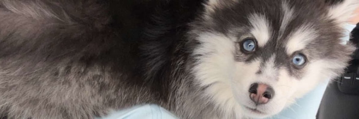 cvbeee's profile banner image