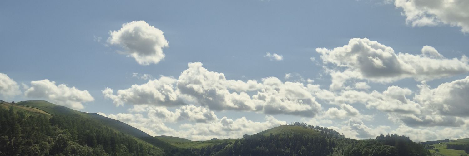 asaryaaa's profile banner image
