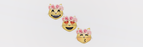 Kylie banner