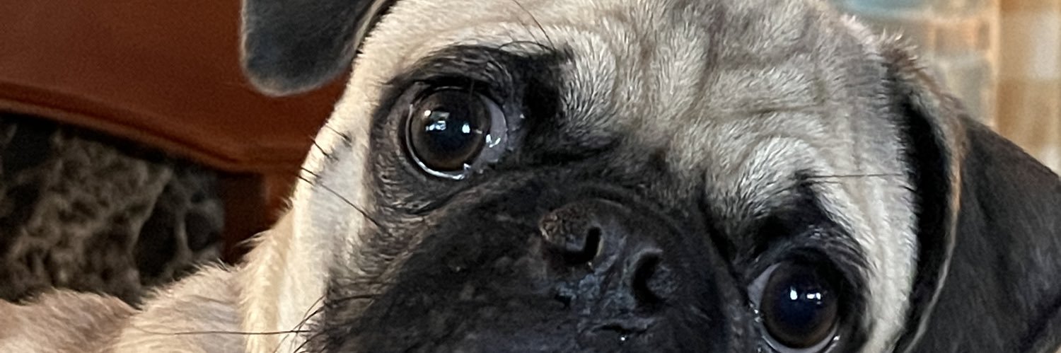 dosidioma's profile banner image