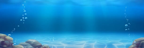 Shel1Nft banner