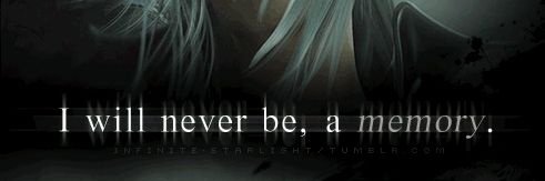 nero1249's profile banner image