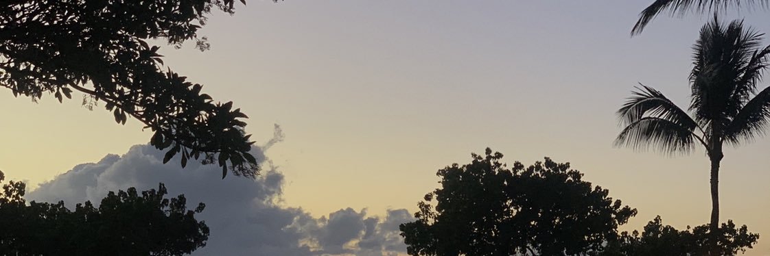 katienelson690's profile banner image