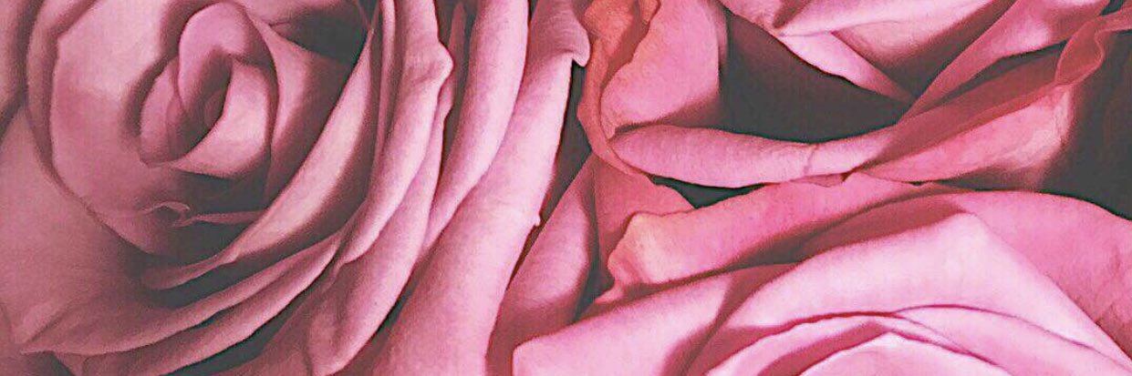 Saly5556's profile banner image