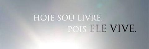welensf's profile banner image