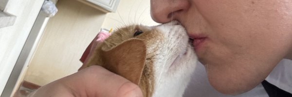 MsFelineDion Profile Banner