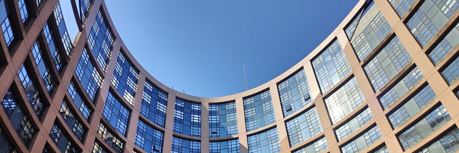 Stephane de Sallier banner