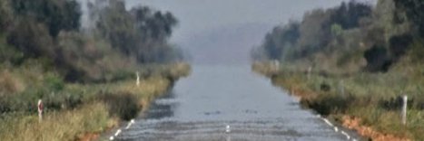 LilyAkino's profile banner image