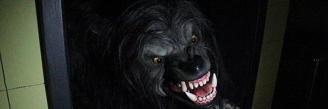 WerewolfOrlando's profile banner image