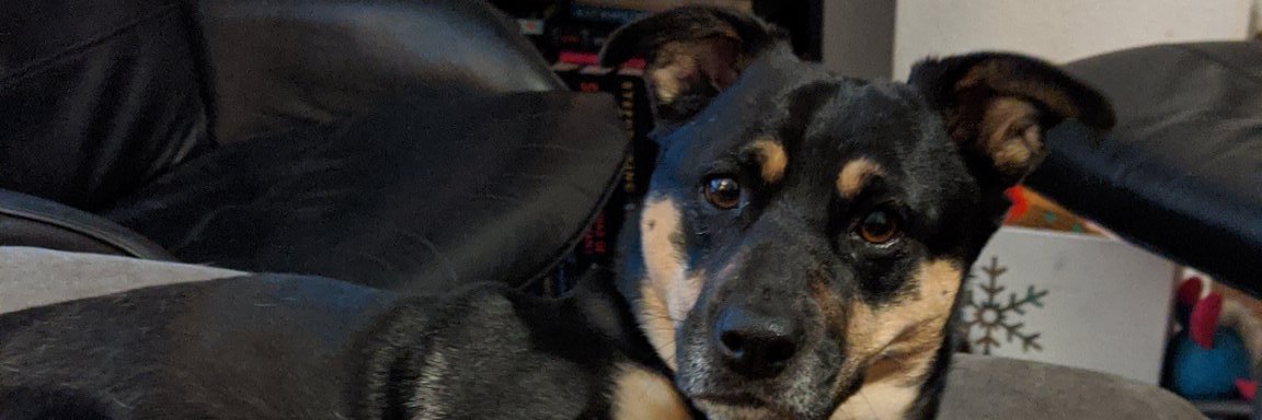 LettheRyanOneIn banner