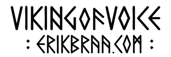 erikbraa Profile Banner