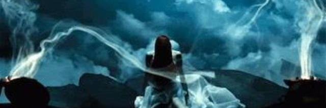 Gina Williams banner