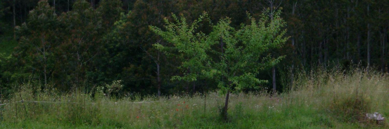 olgaparetas's profile banner image