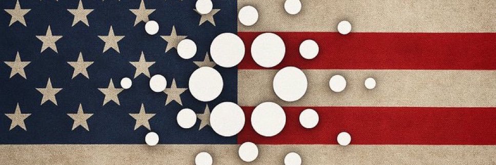 ☆ 𝗔𝗦𝗛𝗟𝗘𝗬 𝗣𝗨𝗥𝗗𝗬 ☆ banner