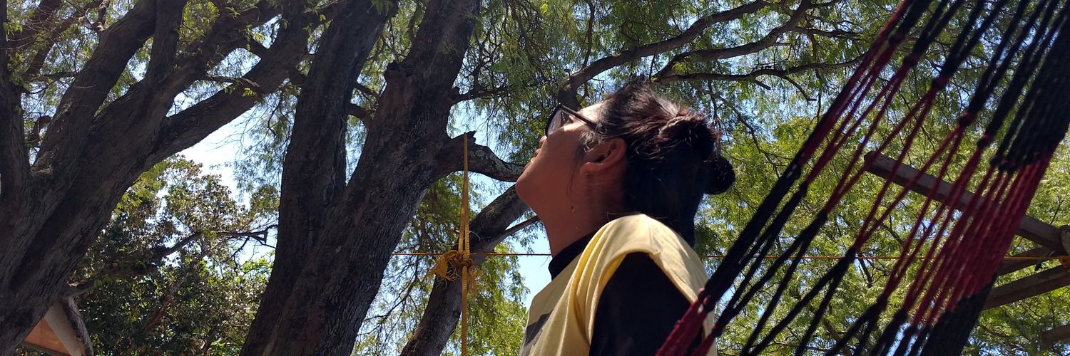 pamelapeyt's profile banner image