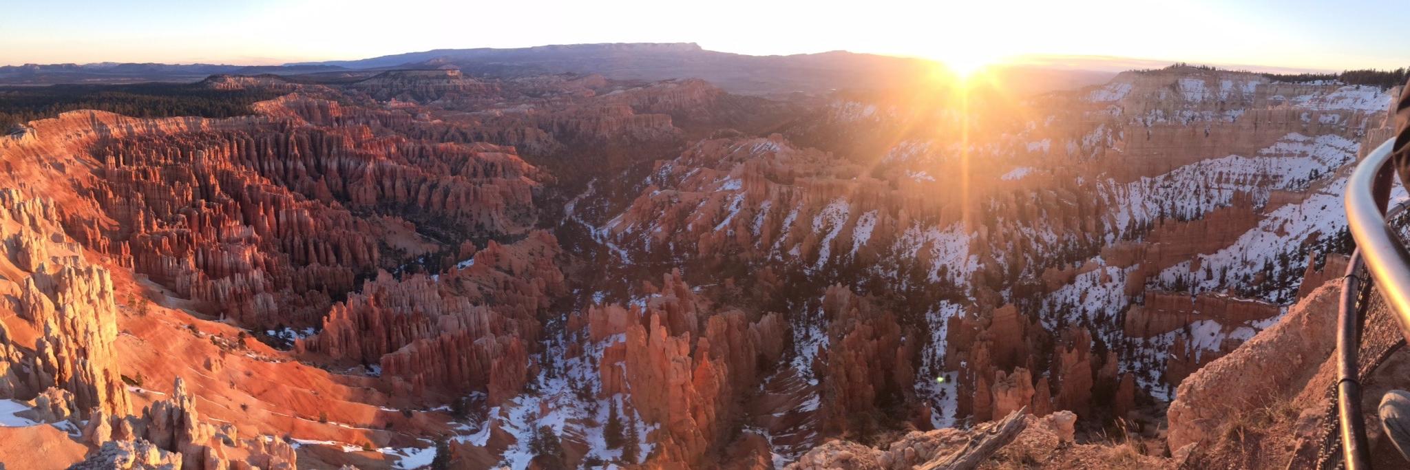 Amanda Schaefer banner