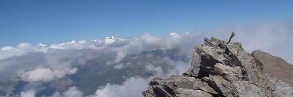 Corjansen Profile Banner