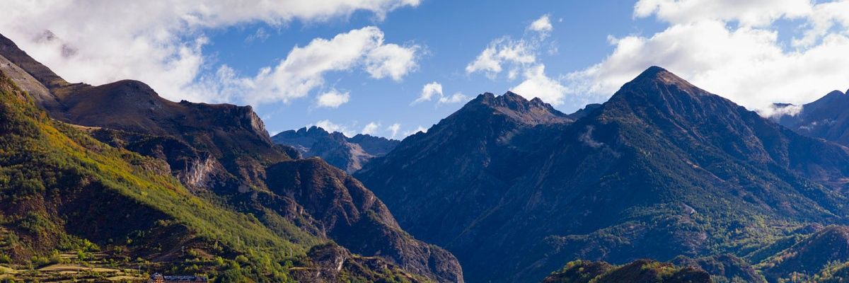 scoutsg3's profile banner image