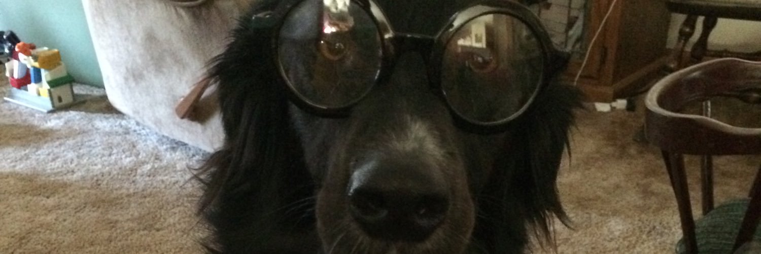 dgrossrh's profile banner image