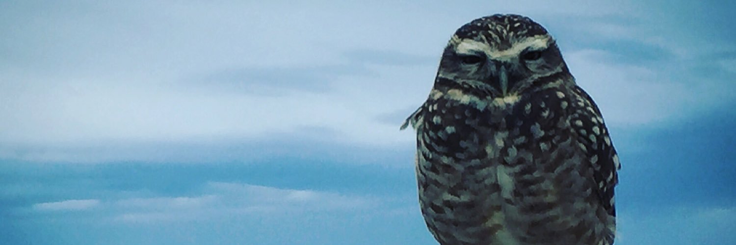ApeLoRubio's profile banner image