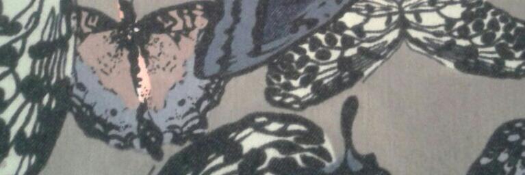 Camila Verdinelli banner