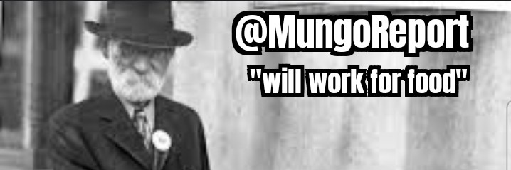 MungoReport's profile banner image