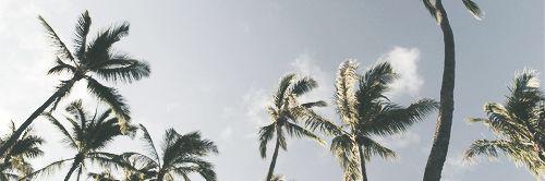 VictoriaKSL's profile banner image