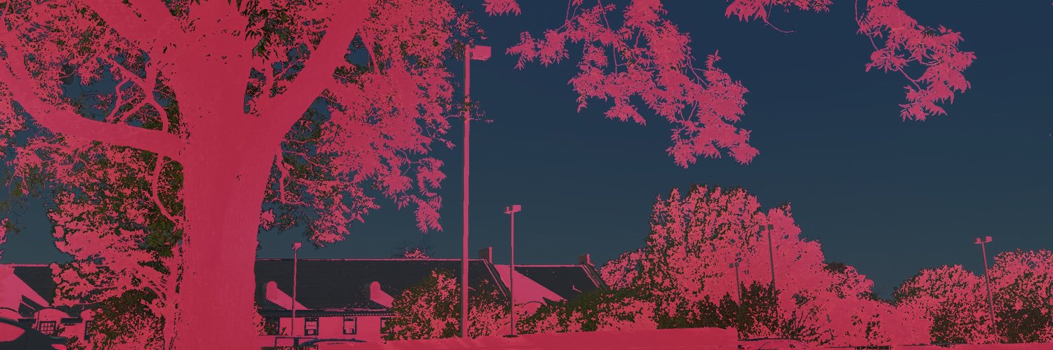 zynbrbr's profile banner image