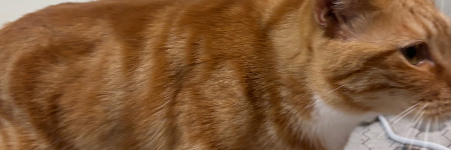 等木人(阿等 banner