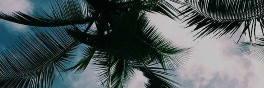 danny_thorn's profile banner image