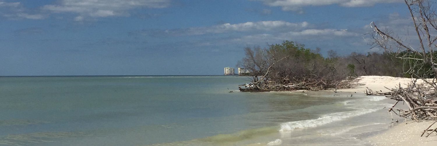 StephYoraway's profile banner image
