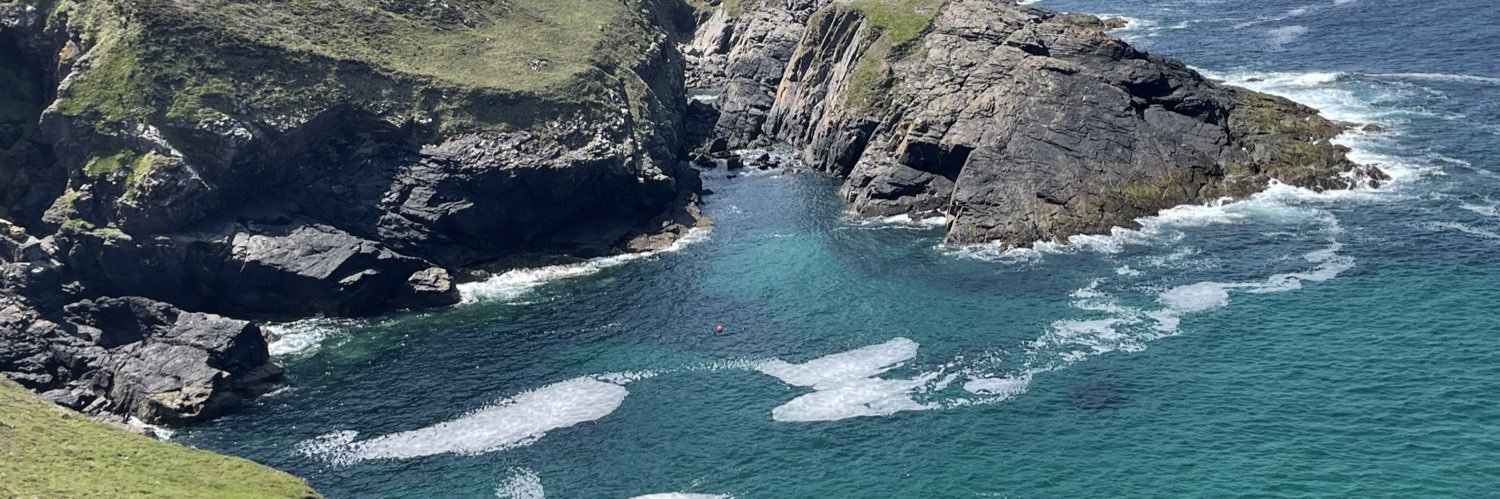 Judge Kelly Mims banner