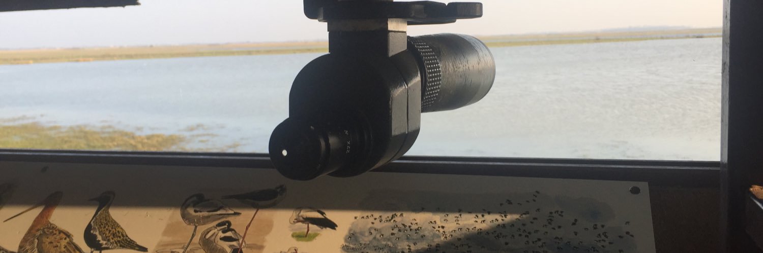 Vanessa Lorioux banner