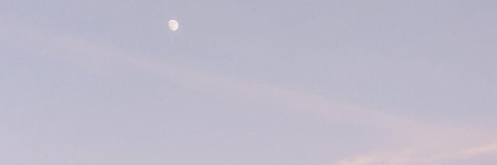 chichaaaance's profile banner image