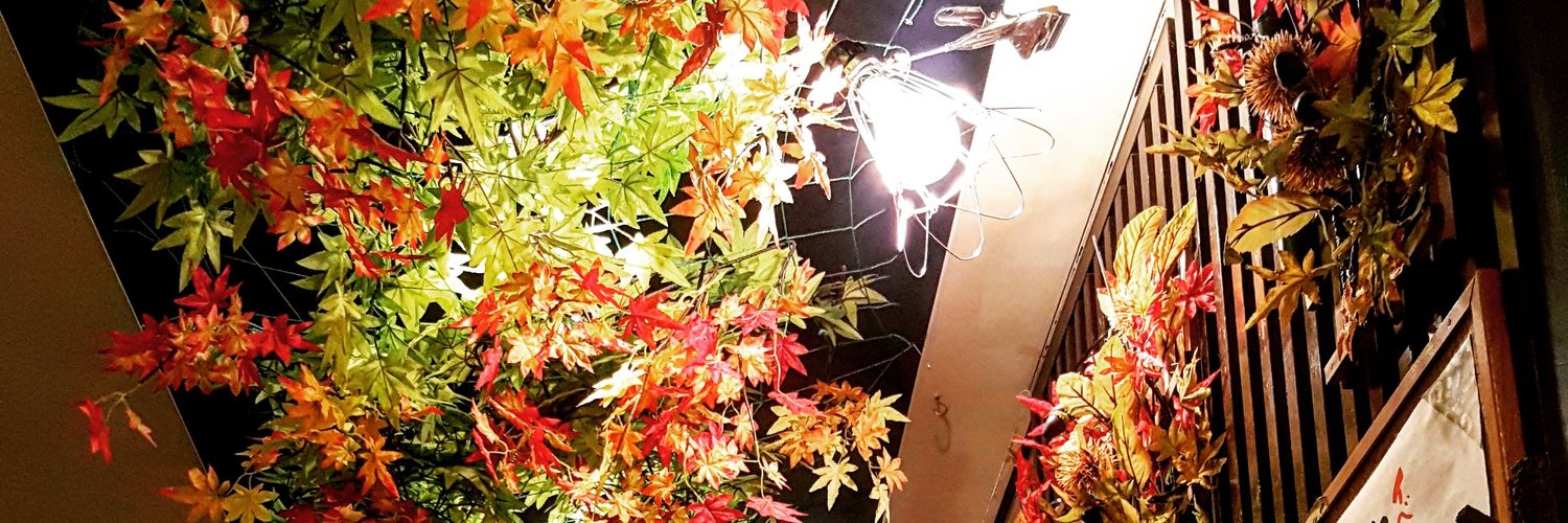 ranidaqueen's profile banner image