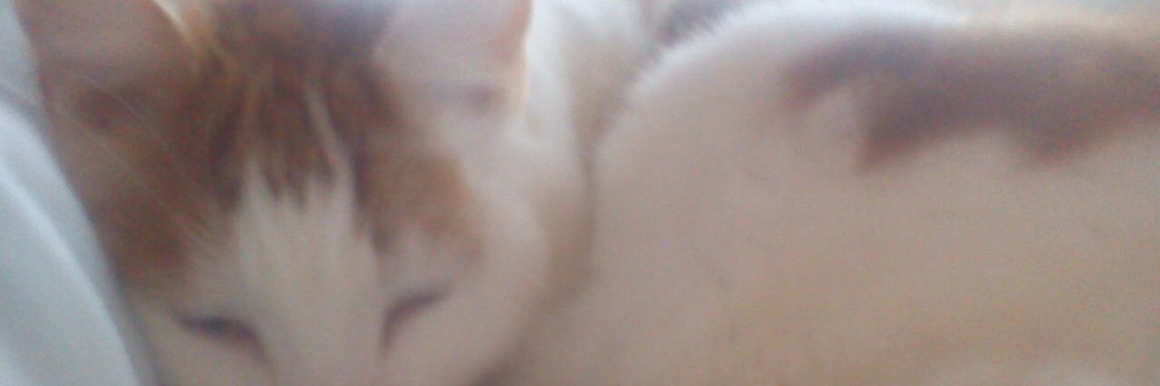 peaseloopy's profile banner image