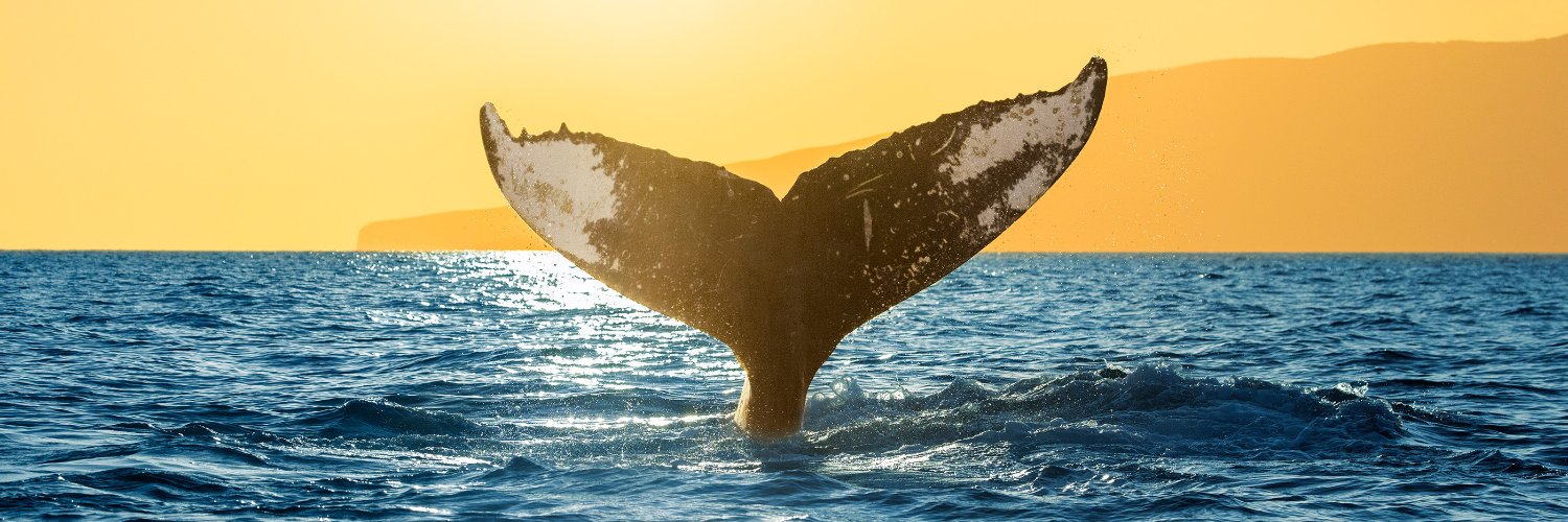 Abraham Martinez Gracia banner