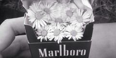 AmberRPGRC's profile banner image