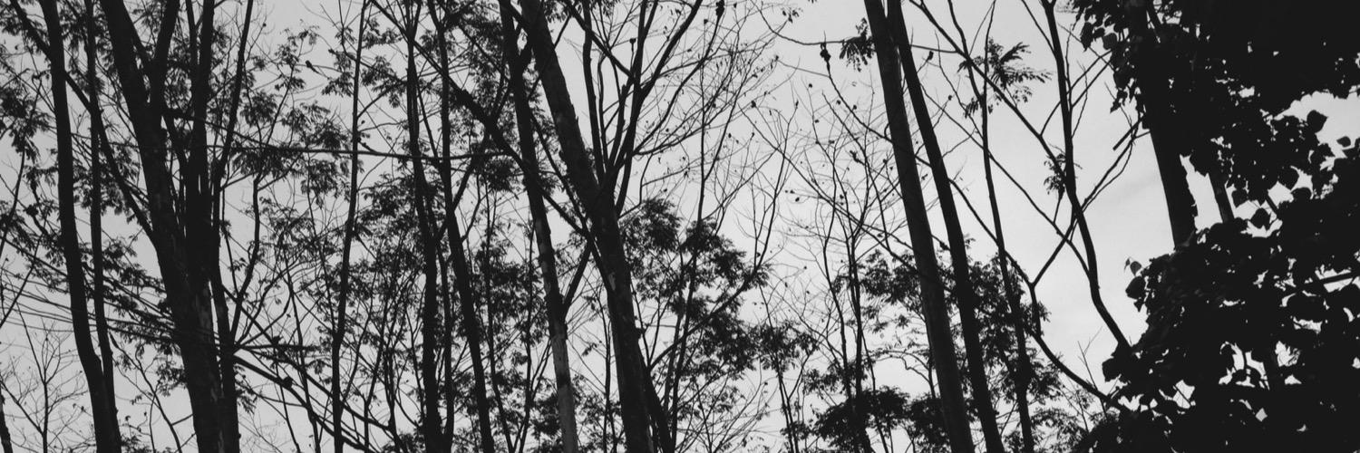 Rifa_thifah's profile banner image