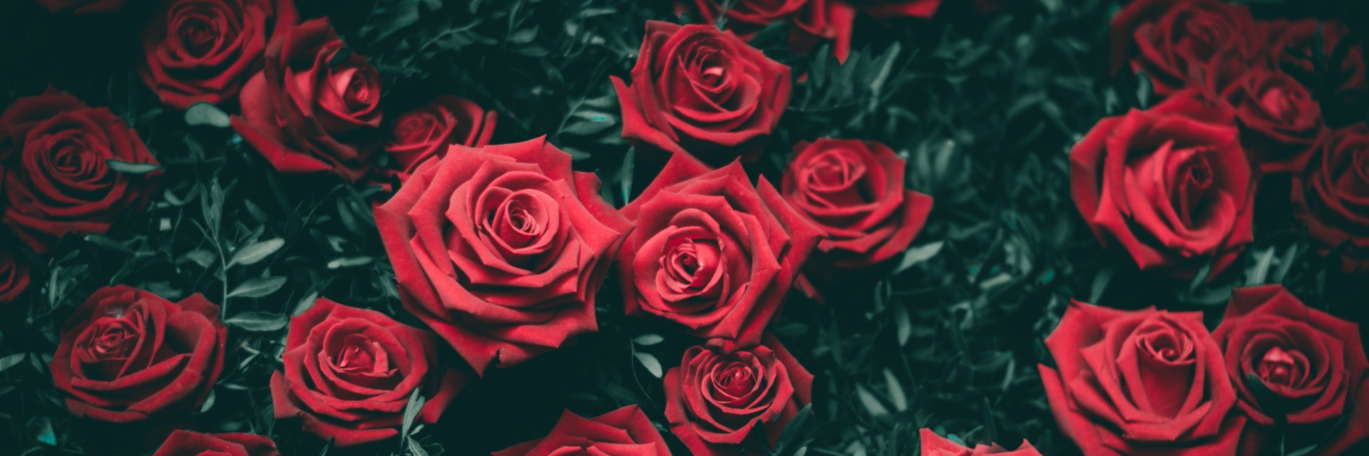 JoeHarvelle's profile banner image