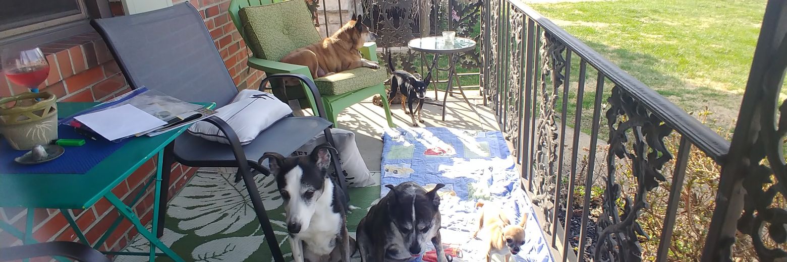 ngausdogs's profile banner image