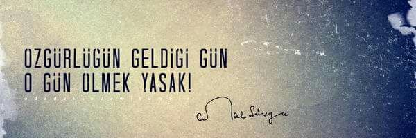 Mareşal Prof. Dr. JetonArme banner
