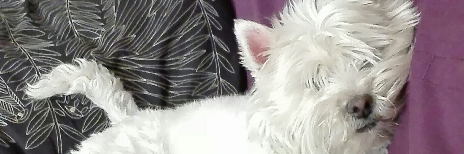 elWestyloco's profile banner image