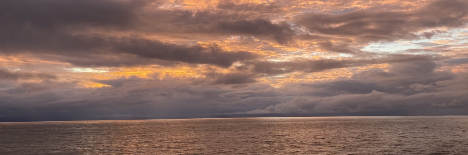 megamartin's profile banner image