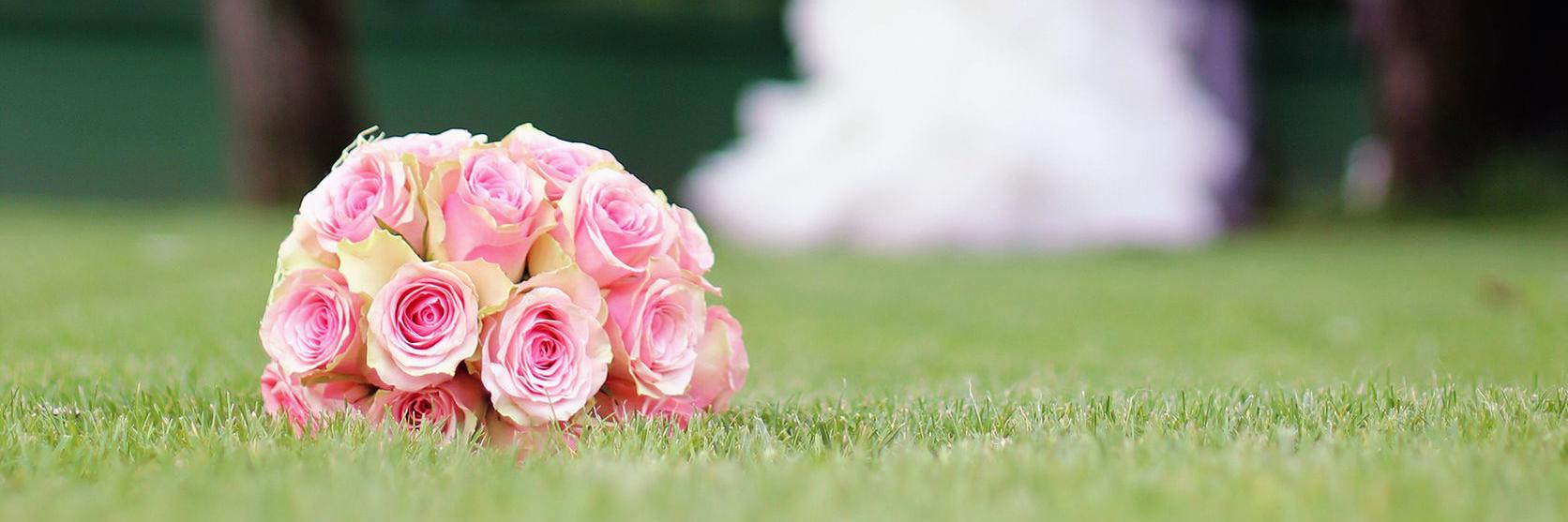 GrandifloraSA's profile banner image