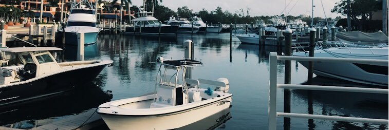 hayleyshieldss's profile banner image