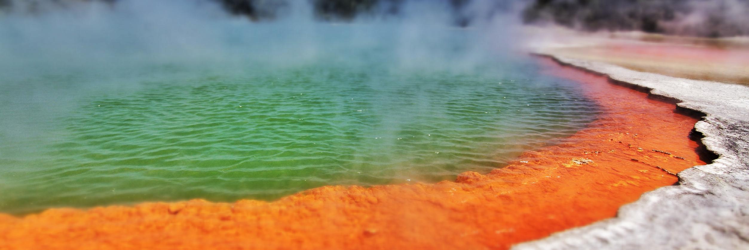 Andrew King 📬 banner