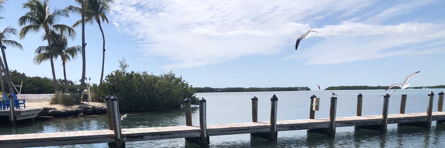 laughOton's profile banner image