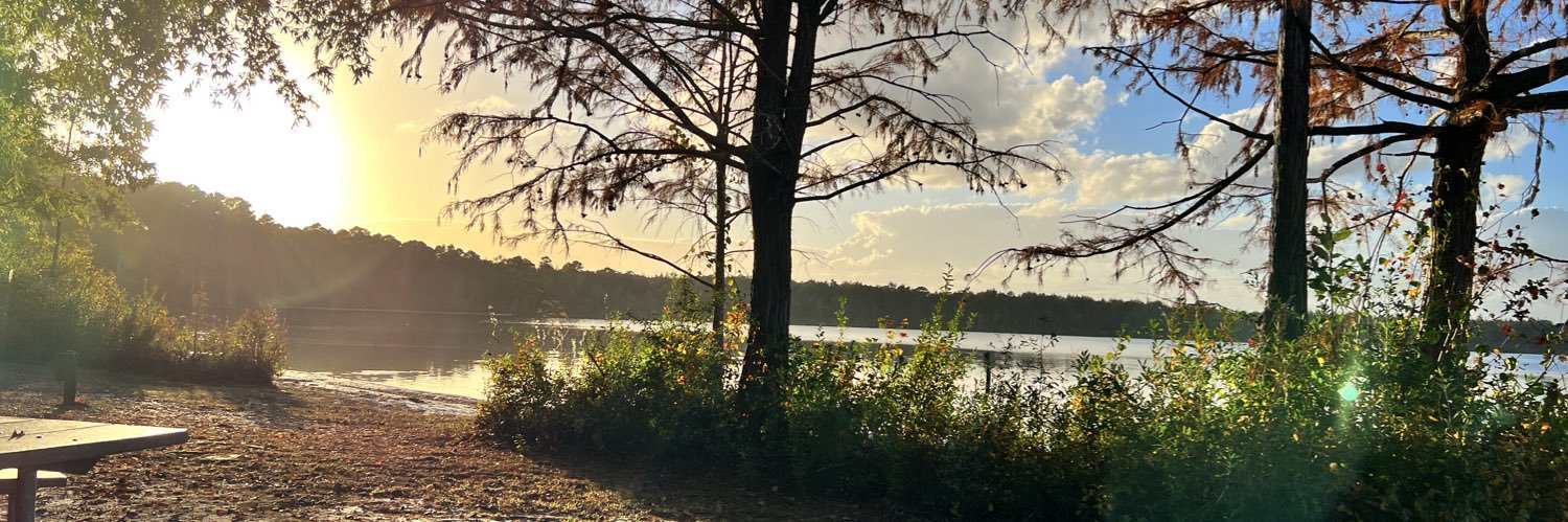 seagroves43's profile banner image