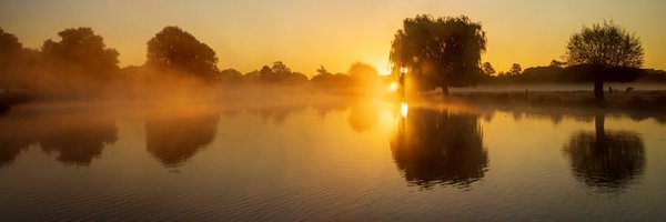 patlinberg Profile Banner